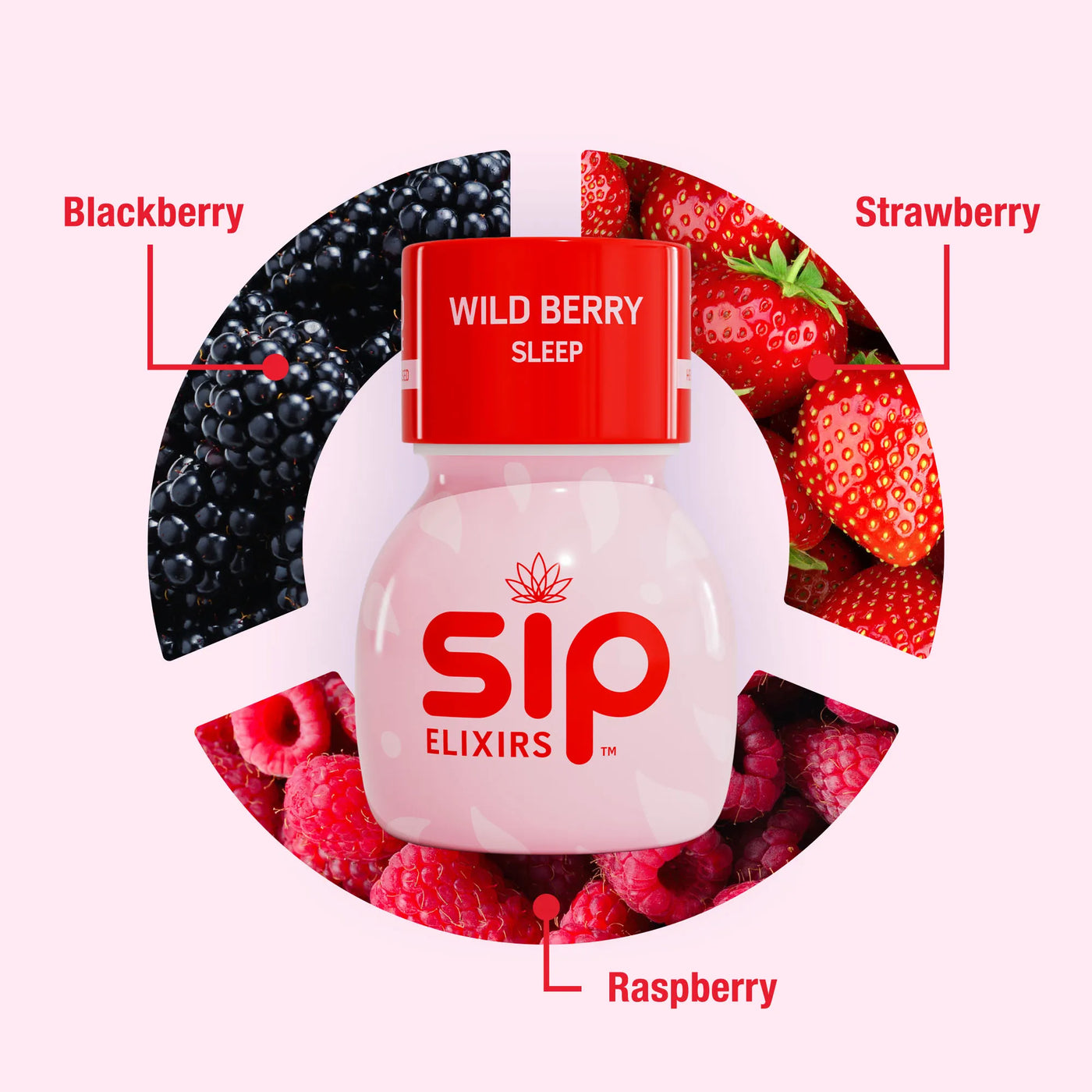 Sip Elixirs Wild Berry Sleep bottle surrounded by blackberries, strawberries, and raspberries on a white background.